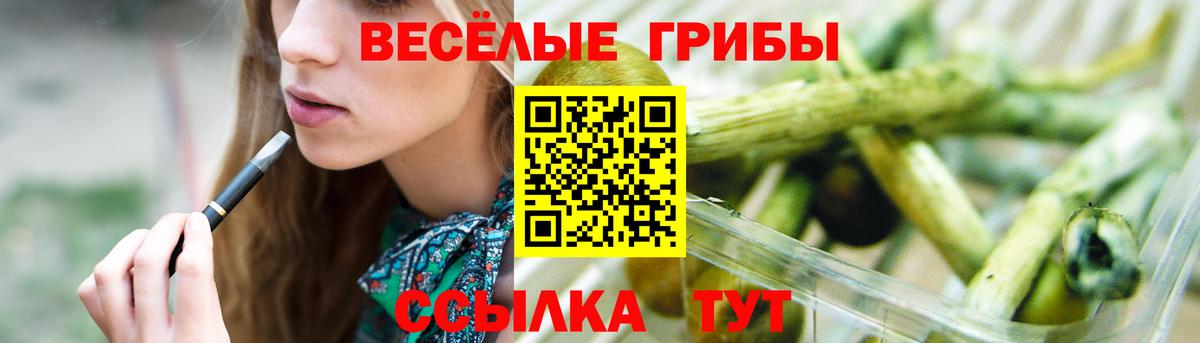 Псилоцибиновые грибы Magic Shrooms Каменск-Уральский